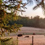 Terra Dei Bisonti ファームステイ