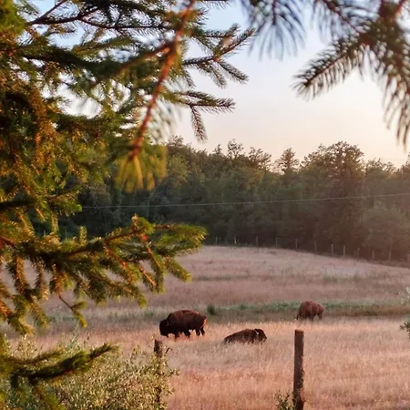 Terra Dei Bisonti Feriegård
