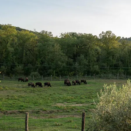 Terra Dei Bisonti