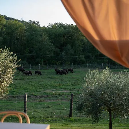 Farma Terra Dei Bisonti *