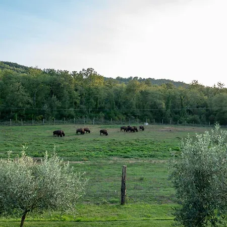 Farma Terra Dei Bisonti