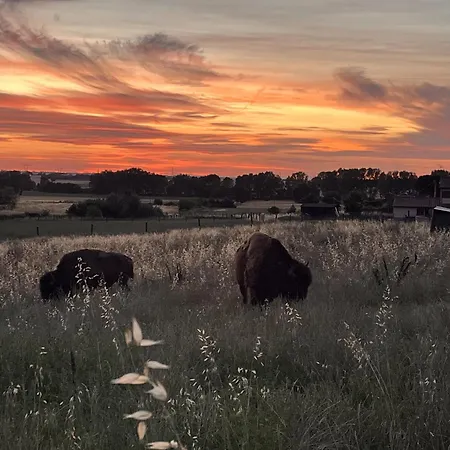 Séjour à la ferme Terra Dei Bisonti Panicale