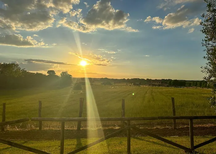 Terra Dei Bisonti Farma