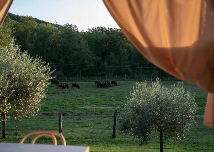 Farma Terra Dei Bisonti *