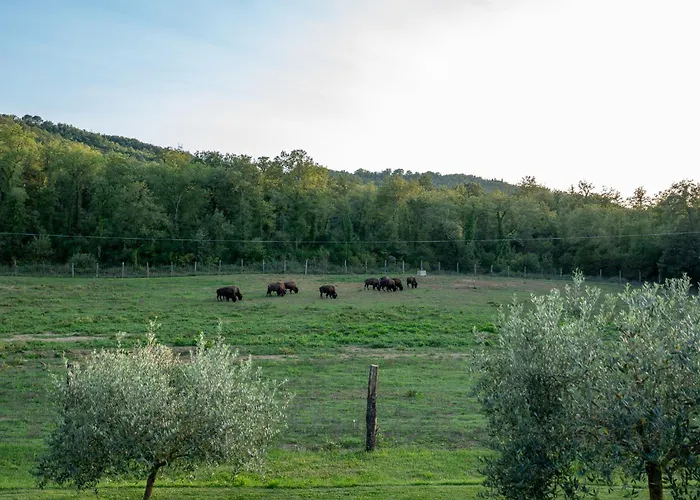 Alojamento de Turismo Rural Terra Dei Bisonti